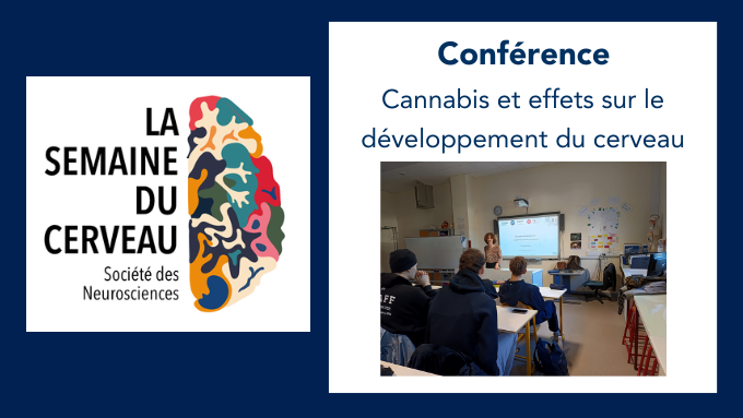 Bandeau Article(1).png