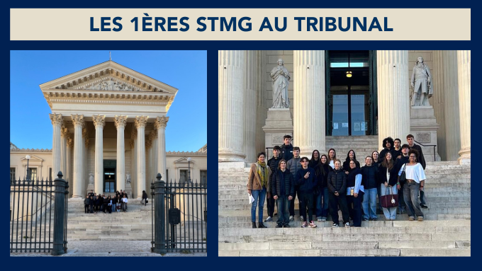 Bandeau Article(9).png